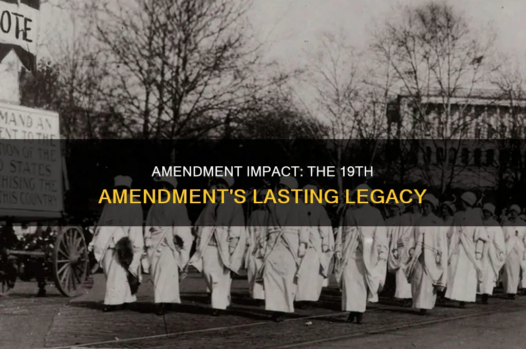 how did the nineteenth amendment to the constitution do