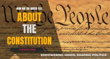 Northern Constitution Sentiments: A United Front