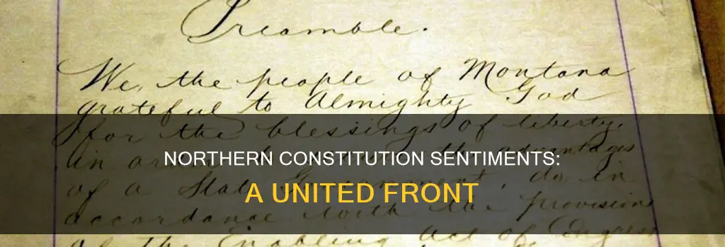 how did the north feel about the constitution