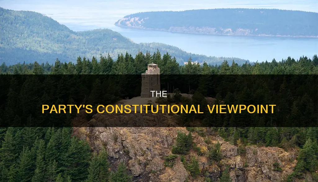 how did the party view how the constitution