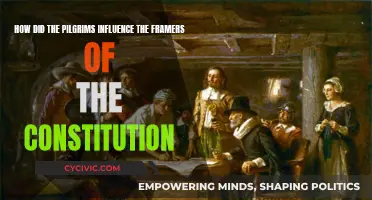 Pilgrims' Influence on Constitution Framers: A Historical Perspective