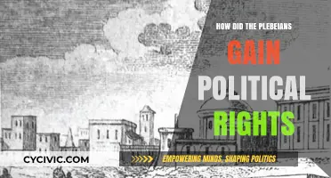 The Struggle for Power: Plebeians' Journey to Political Rights