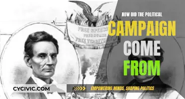 The Evolution of Political Campaigning: Roots and Rise