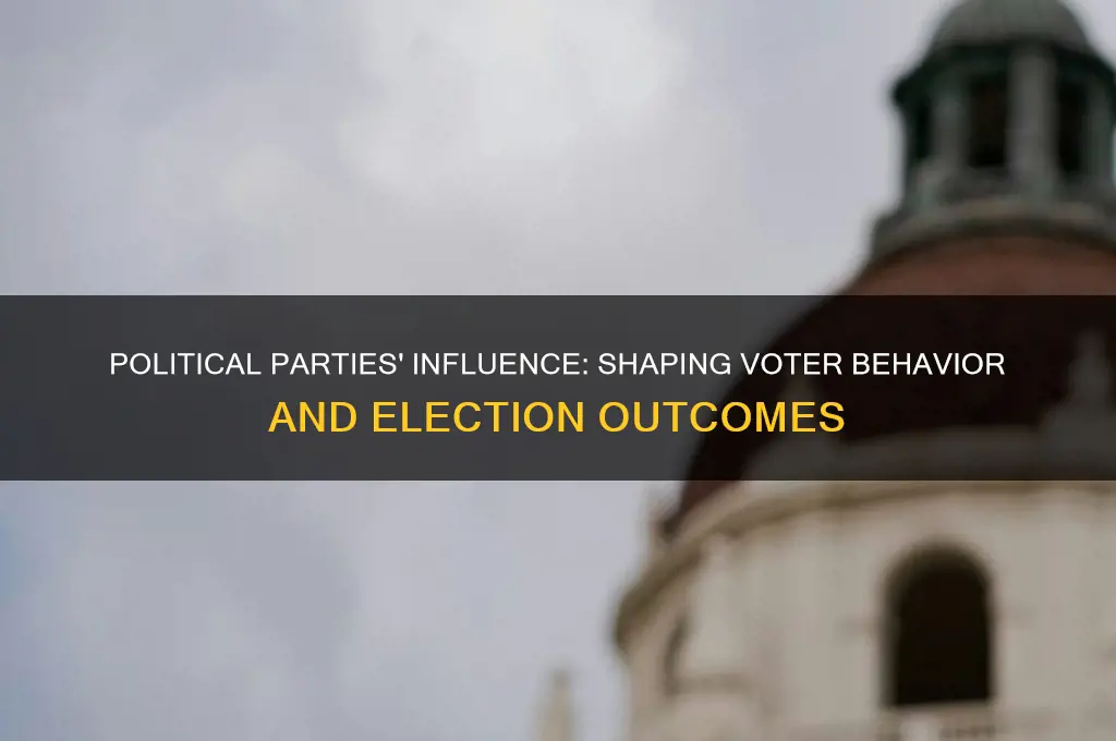 how did the political parties affect voter