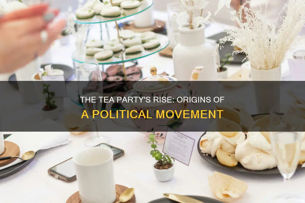 how did the tea party start as a political party