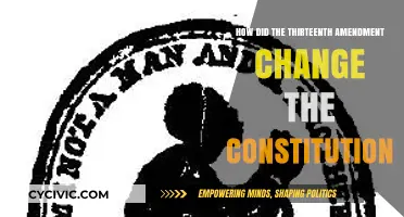 Amendment Impact: Constitution's Thirteenth Change