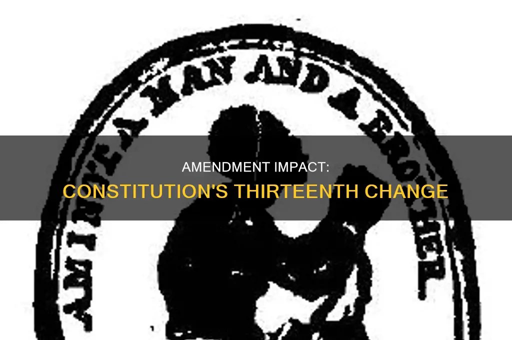 how did the thirteenth amendment change the constitution