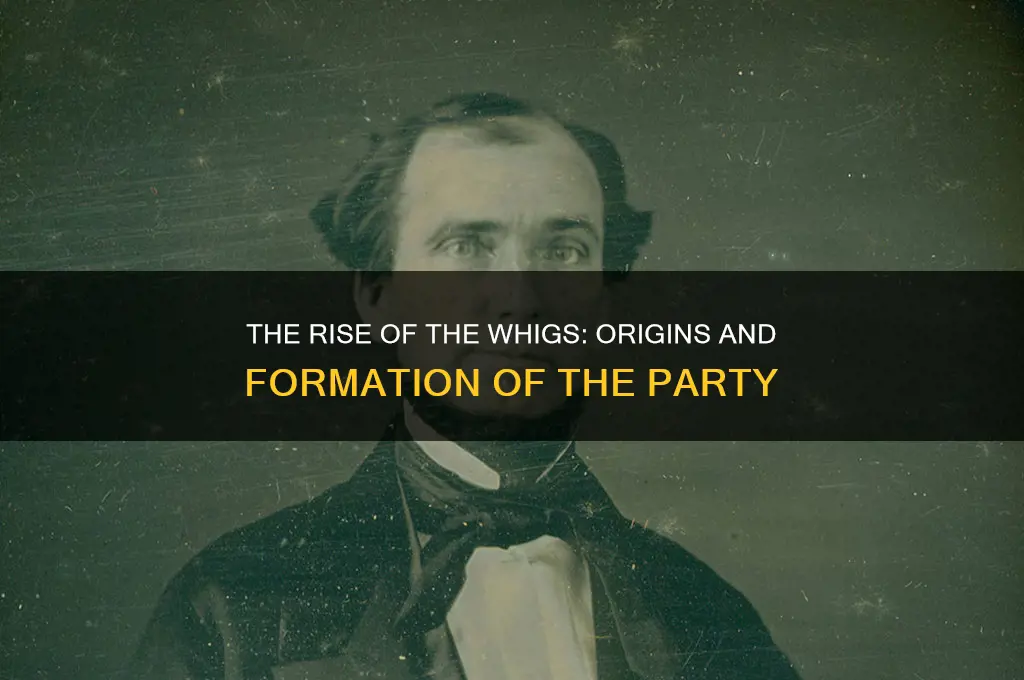 how did the whig political party came about