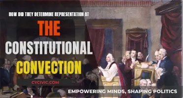 Representation at the Constitutional Convention: Who Decided?
