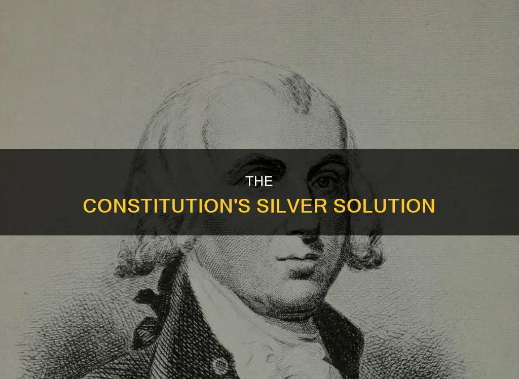 how did they solve salver in the constitution