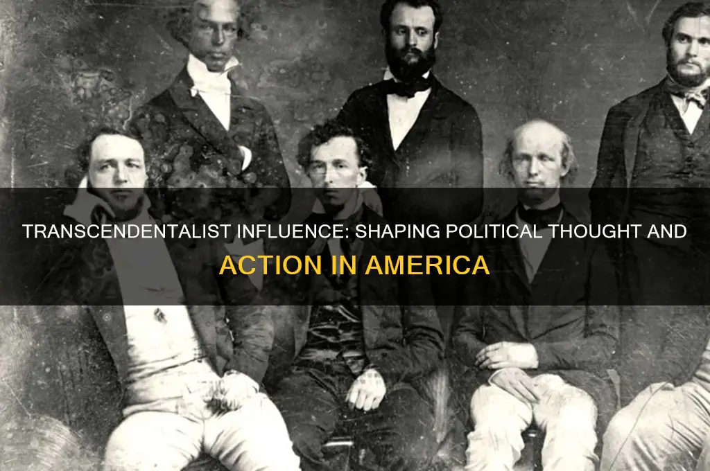 how did transcendentalists impact politics
