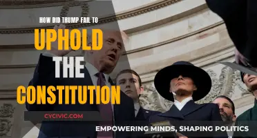 Trump's Constitutional Failures: A Presidency in Question