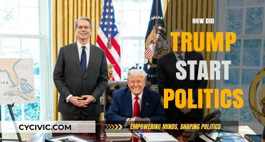 From Business to Ballot: Trump's Unconventional Entry into Politics