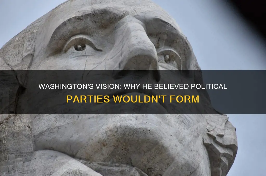 how did washington think that political parties wouldn