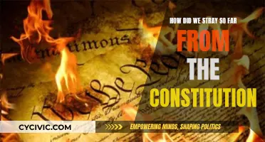 The Constitution: Lost in Translation?