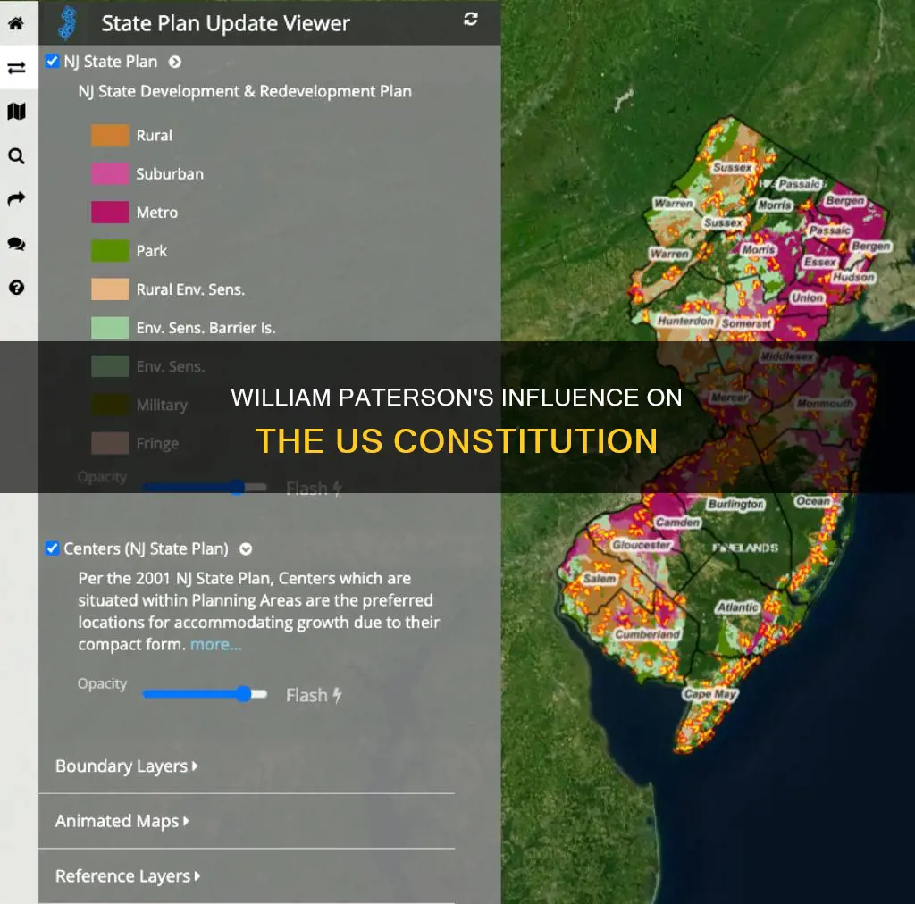 how did william paterson contribute to the constitution