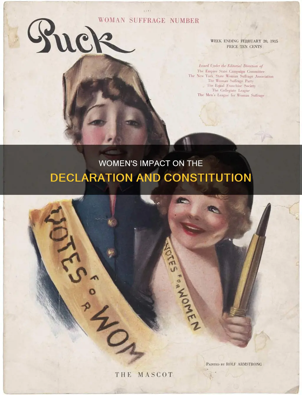 how did women influence the declaration and the constitution