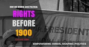 Pioneering Pathways: Women's Quest for Political Rights Before 1900