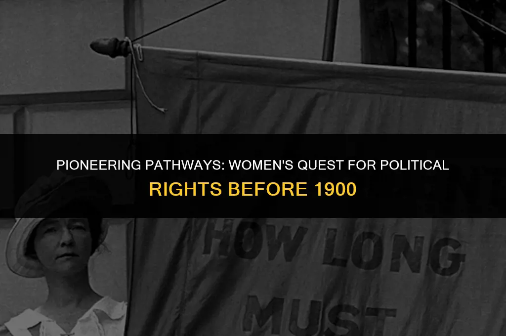how did women seek political rights before 1900