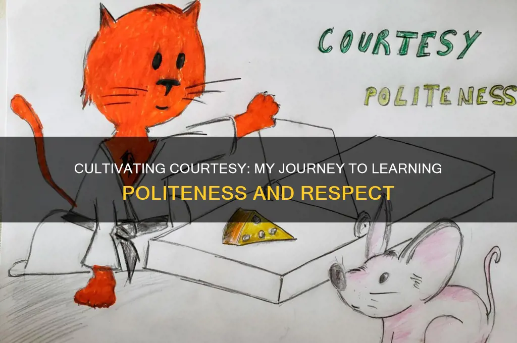 how did you learn politeness