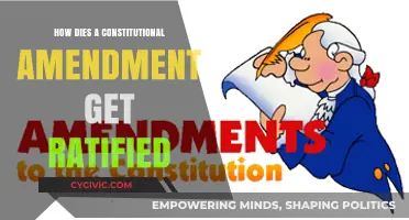 The Amendment Process: Getting Ratified