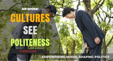 Politeness Across Borders: Exploring Cultural Variations in Etiquette and Respect