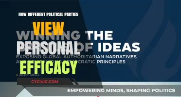 Political Perspectives: How Parties Shape Beliefs in Personal Efficacy