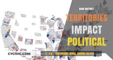 How District Boundaries Shape Political Landscapes and Power Dynamics