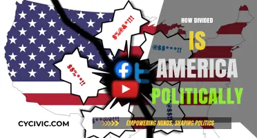 America's Political Divide: Uniting a Fractured Nation in Turbulent Times
