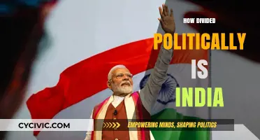 India's Political Divide: Unity, Diversity, and Ideological Fault Lines