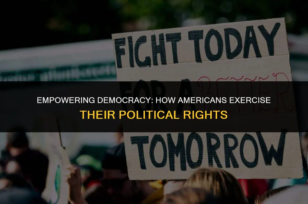 how do americans exercise their political rights