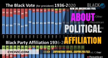 Divided Nation: Understanding Americans' Complex Political Affiliations