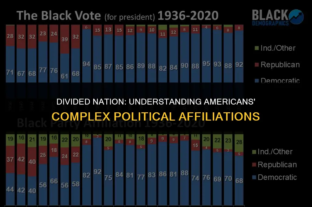 how do americans feel about political affiliation