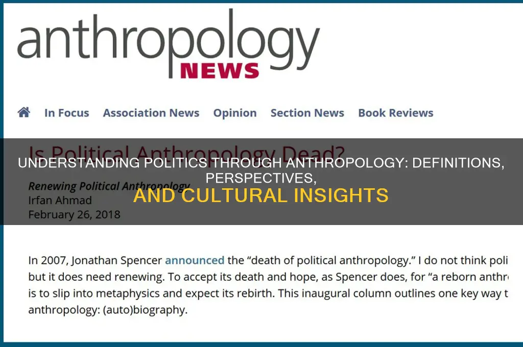 how do anthropologists define politics