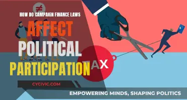 Campaign Finance Laws: Political Participation Impact