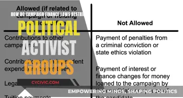 Campaign Finance Laws: Stifling Political Activist Groups?