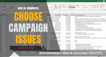Campaign Issues: Candidate Choices and Strategies