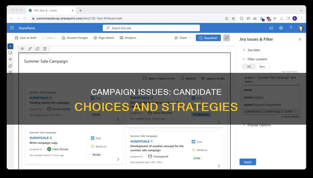 how do candidates choose campaign issues