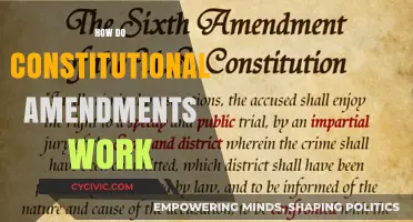 Amending the Constitution: A Step-by-Step Guide