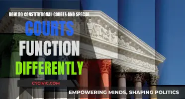 Special and Constitutional Courts: Functioning Differently