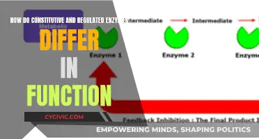 Constitutive vs Regulated Enzymes: Function Differences