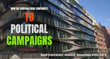 Corporate Political Campaign Contributions: Influence and Impact