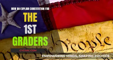 Understanding Our Country's Rules for Grown-Ups