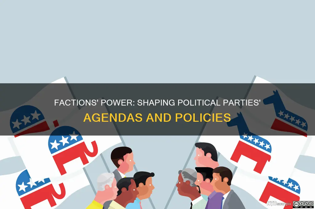 how do factions influence political parties
