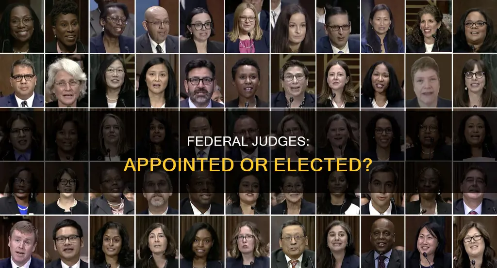 how do federal judge get their jobs constitutional