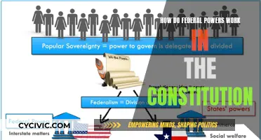 Understanding Federal Powers: Constitutional Authority Explained