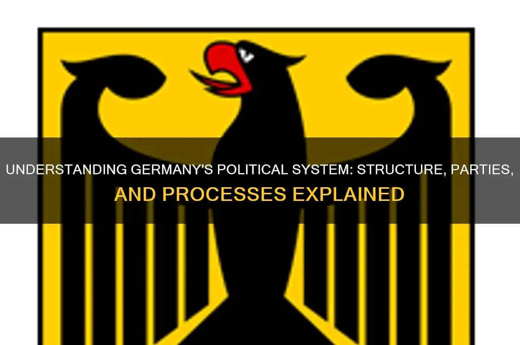 how do german politics work