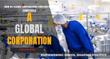 Global Corporations: Function and Definition