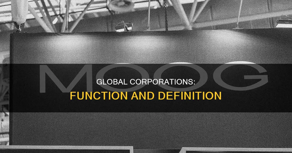 how do global corporations function what constitutes a global corporation