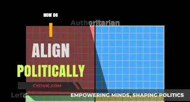 Finding Your Political Compass: A Guide to Aligning Your Beliefs